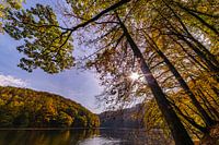 lake in autumn atmosphere