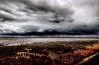 final weekend (at wad)