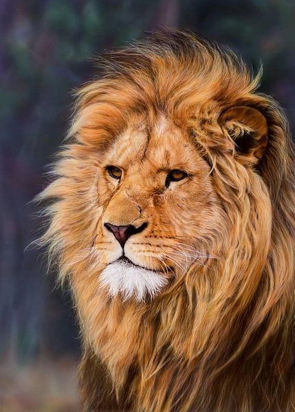 El León von Reinier Verduijn