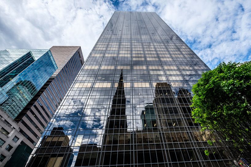Réflexion de Patricks Cathedral, New York City par Eddy Westdijk