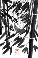 panda in bamboo forest