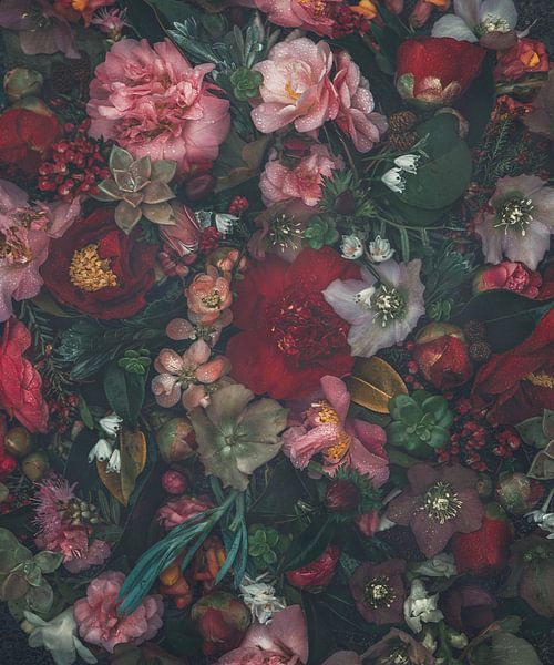 Elske von Marina de Wit