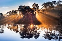 Sonnenaufgang im Nebel mit Strahlen über dem Wasser.