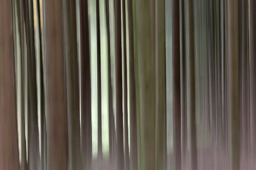 Tremotion, rust van Mirjam van Vooren