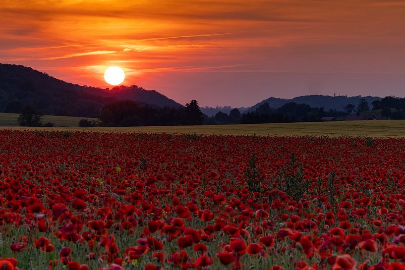Sunset over a poppy field by Andreas Müller