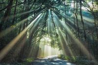 Diffuser la lumière