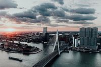 Guten Morgen Rotterdam - Skyline - Erasmusbrücke & das Stadtbild von Rotterdam | vom Zalmhav