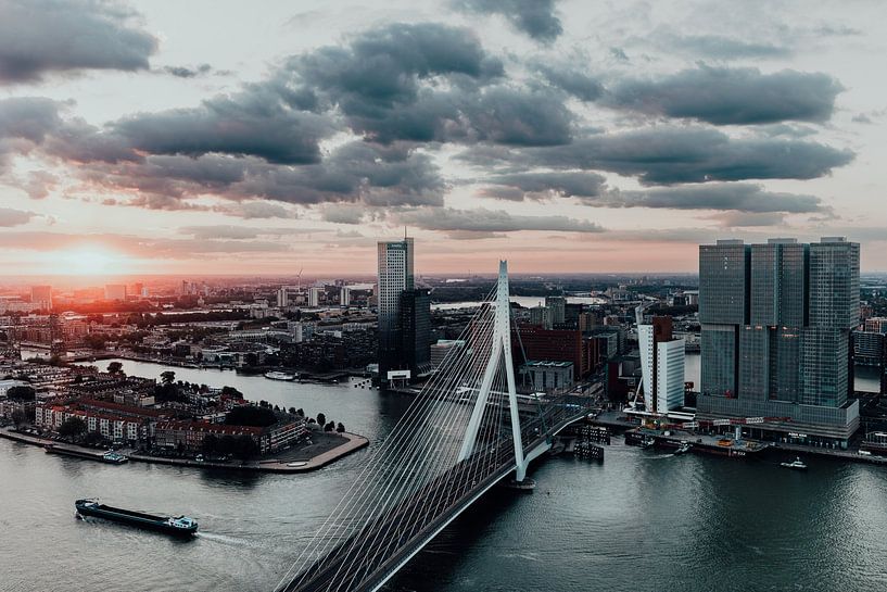 Guten Morgen Rotterdam - Skyline - Erasmusbrücke &amp; das Stadtbild von Rotterdam | vom Zalmhav von Elise van Gils