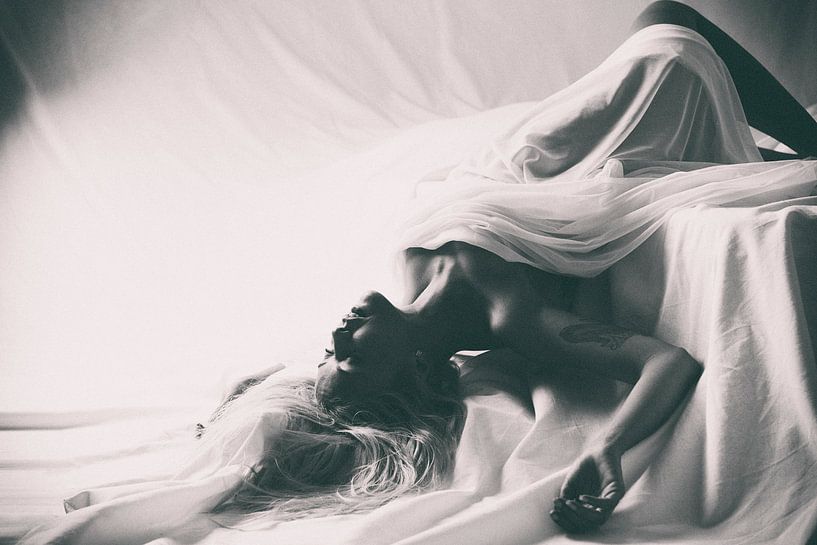 Träume von Fady Abdallah