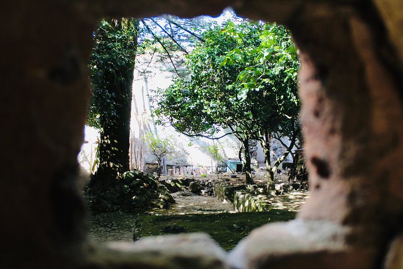 Cour de la cathédrale expirée par Steven van Dijk