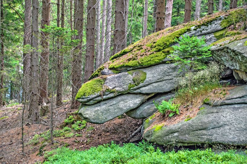 Drachenkopf von Leopold Brix