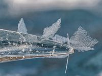 Les cristaux de glace