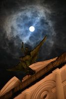 Een nacht in Cadiz hoog