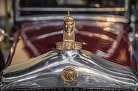 Frontale Konfrontation mit Minerva-Heizkörperornament