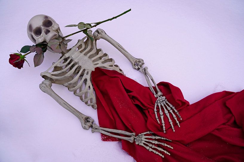 Ewige Liebe Skelett mit roter Rose in weißem Schnee von Babetts Bildergalerie