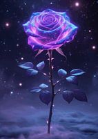 belles fleurs violettes