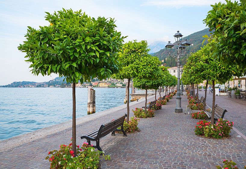 beautiful recreational place at gargnano lakeside promenade by SusaZoom