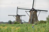 Mühlen von Kinderdijk