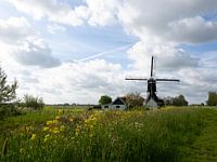 Mühlen in typisch holländischer Landschaft