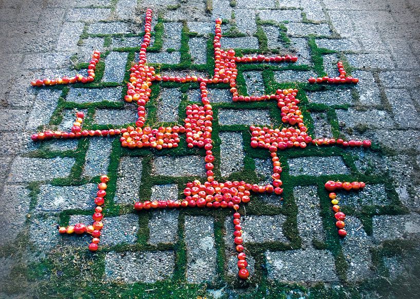 Folgen Sie dem Muster von Mies Heerma