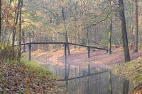 Magical morning on Heidestein estate!