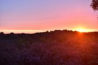 Sonnenaufgang Posse Bank