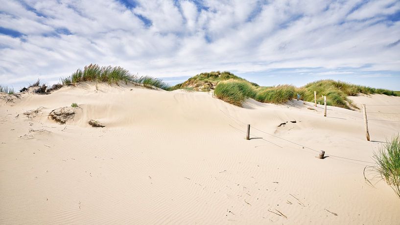 Düne an der Küste bei Schoorl von eric van der eijk
