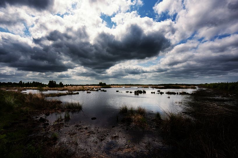 Het Drentse Landschap, Fochteloërveen by Mark de Weger