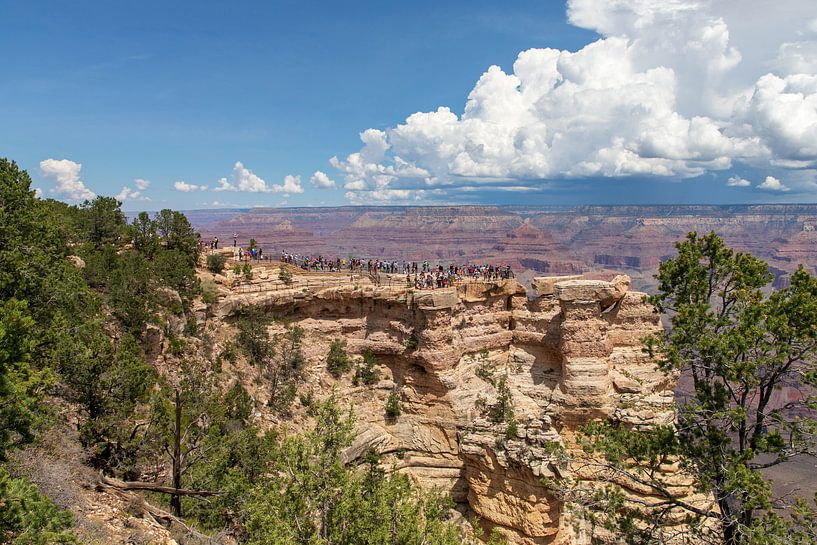 Mather Point. Grand Canyon South by Ton Tolboom