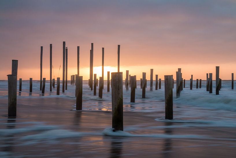 Palendorp Petten 2 by Nuance Beeld