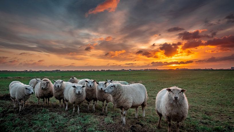 Wake up by Ard Jan Grimbergen