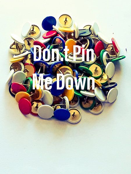 Pin mij niet vast by Renee Alexandra Serlier