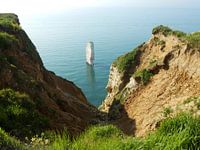 The needle / L' aiguille