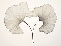 Stilleben Japandi, Ginkgo Biloba