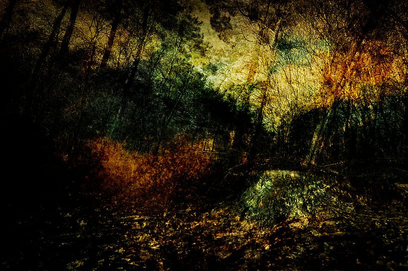 The Drunense Dunes at Loon op Zand #01 by Peter Baak