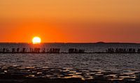 Zonsondergang Friese Waddenkust Wierum