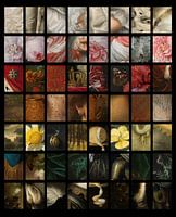 Motif des détails dans les peintures du Rijksmuseum d'Amsterdam