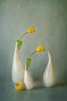 Yellow Tulip and Mini Squash