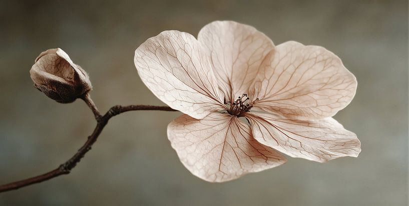 Follow The Light by Treechild