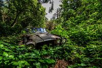 Voiture perdue dans la nature