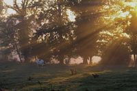 Zonsopkomst in Frankrijk