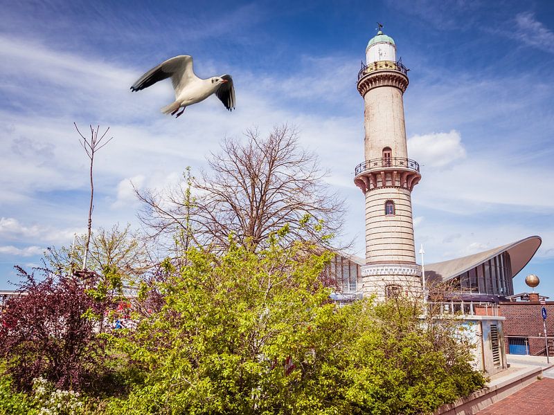 Warnemünde lighthouse with seagulls by Animaflora PicsStock