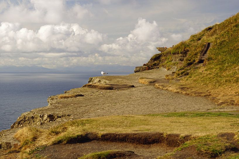 Cliffs of Moher - Irland von Babetts Bildergalerie