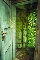 Verlassene Tür ins Grüne – Lost Place erobert von der Natur