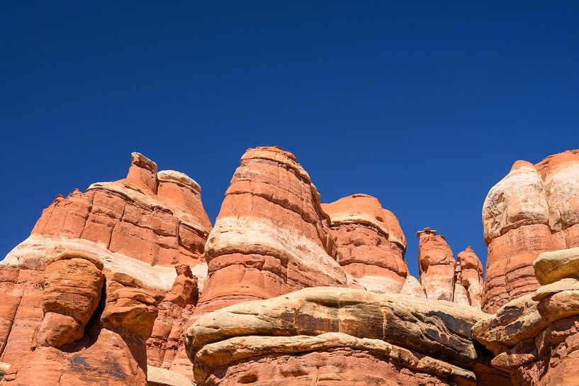 Canyonlands, The Needles District I by Gerry van Roosmalen