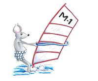 Maus treibt als Windsurfer Wassersport
