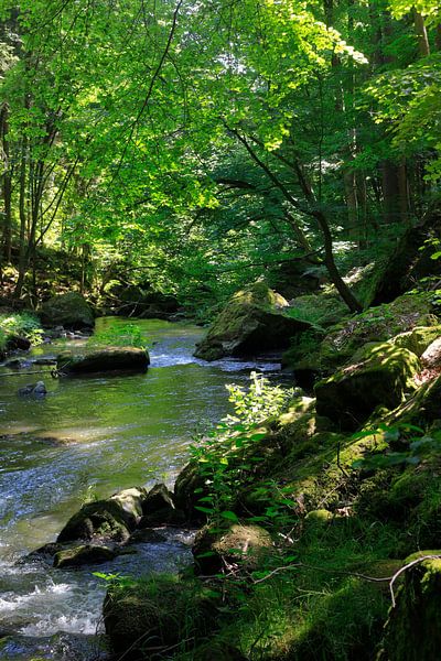 Romantik von Thomas Jäger