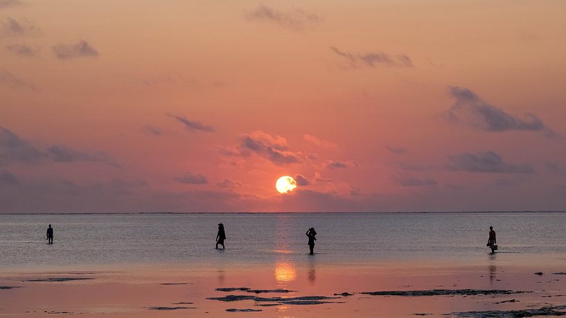 Le monde se réveille. par Willeke van Vulpen