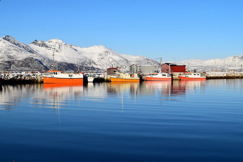 Port avec bateaux de pêche et montagnes enneigées en arrière-plan par Studio LE-gals