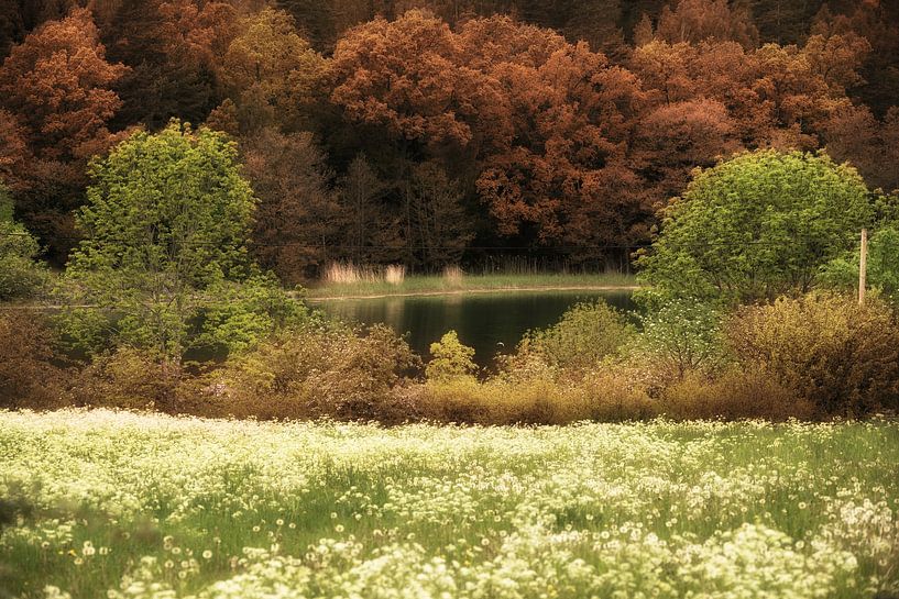 Après les arbres d'été par Marc Hollenberg